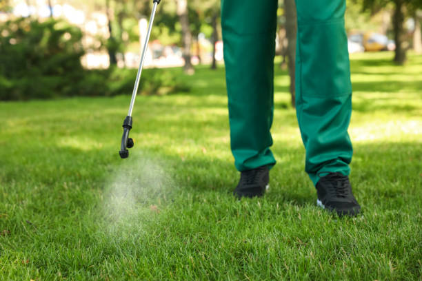 Best Best Pest Control Companies  in Elm Springs, AR