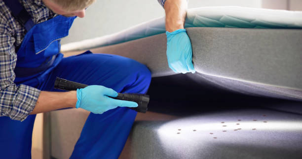 Best Pest Inspection Near Me  in Elm Springs, AR